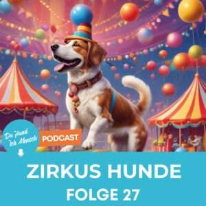 27# Zirkus-Hunde