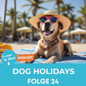 24# Dog Holidays