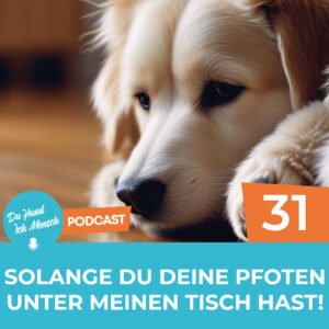 31# Solange du deine Pfoten unter meinen Tisch hast!